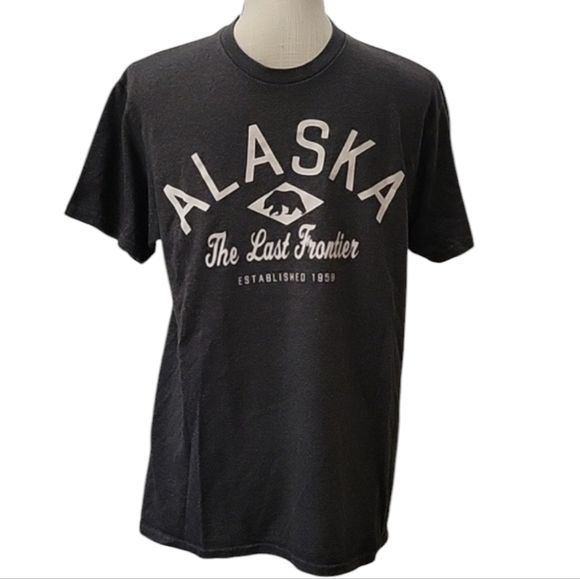Delta Pro Weight Alaska Tee - Picture 1 of 3